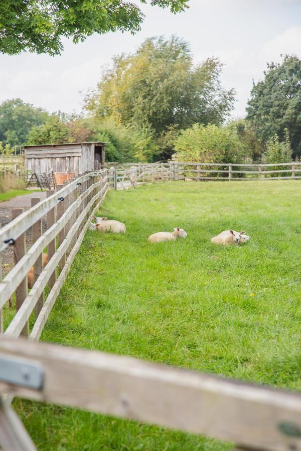 Smallbrook Cottage Broadway  Luaran gambar